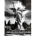 ... denn weiter als der Himmel ist die Liebe: Fotografien �ber die Tr�ume der Engel