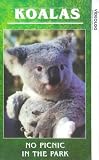 Review Artsmagic  / Koalas - No Picnic In The Park