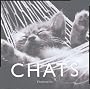 Chats