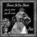 6 x 6 Lazer Gifts Personalized Black Granite Pet Memorial Marker Style Max