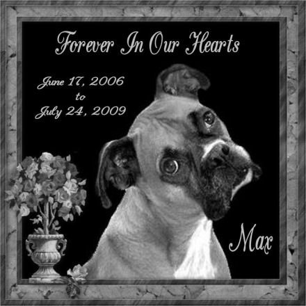 6 x 6 Lazer Gifts Personalized Black Granite Pet Memorial Marker Style Max