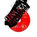 10TH ANNIVERSARY GIG NEVER SOLD OUT CAPACITY [DVD]