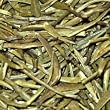 emerald spring green tea