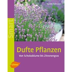 Dufte Pflanzen - Immer der Nase nach
