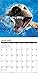 Underwater Puppies 2016 Calendar