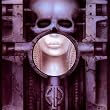 Brain Salad Surgery