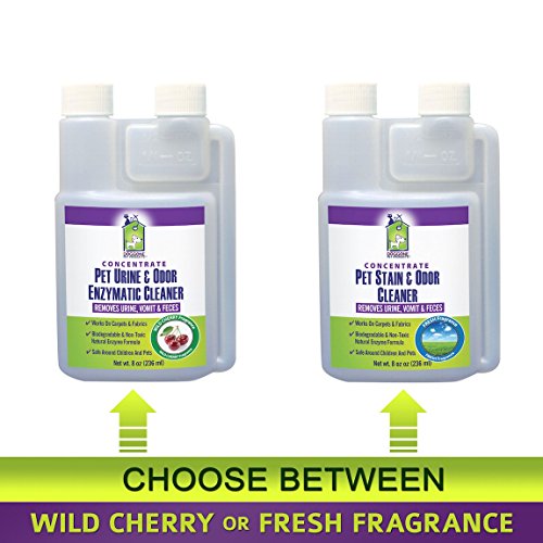 Pet Urine Stain & Odor Enzymatic Cleaner CONCENTRATE Mixes 1 Gallon