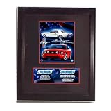 Old and New Mustangs Stat Frame