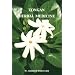 Tongan Herbal Medicine