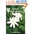 Tongan Herbal Medicine