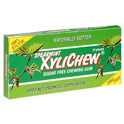 XyliChew Sugar Free Chewing Gum, Spearmint, 12-Count Packages (Pack of 24)