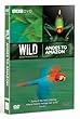 Wild South America: Andes to Amazon [DVD]