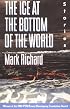 The Ice at the Bottom of the World: Stories