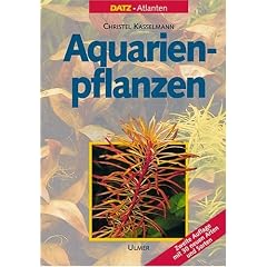 Aquarienpflanzen