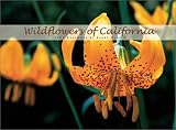Wildflowers of California 2004  Calendar