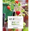 Un potager dans un mini jardin sur un balcon ou un appui de fen�tre