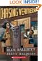Chasing Vermeer