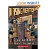 Chasing Vermeer