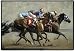 Long Shot LONGSHOT HORSERACE Horses Horse Racing Doormat DOOR Rug Mat