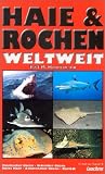 Fischführer Haie und Rochen weltweit