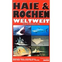 Fischf�hrer Haie und Rochen weltweit