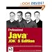 Professional Java Programming: JDK 5 Edition (Wrox Professional Guides)