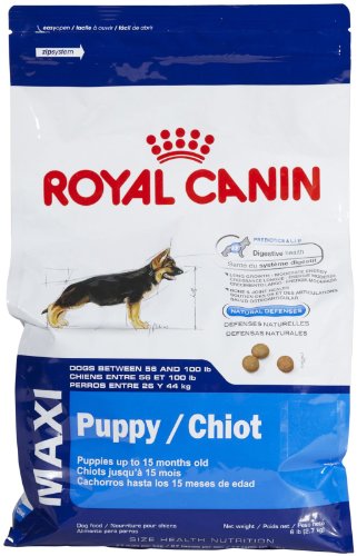 ROYAL CANIN SIZE HEALTH NUTRITION MAXI Puppy dry dog food, 6-Pound