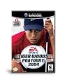 Tiger Woods PGA Tour 2004