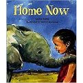 Home Now (Paperback)
