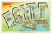 Fridgedoor - Greetings From Egypt IL - Car Magnet Image
