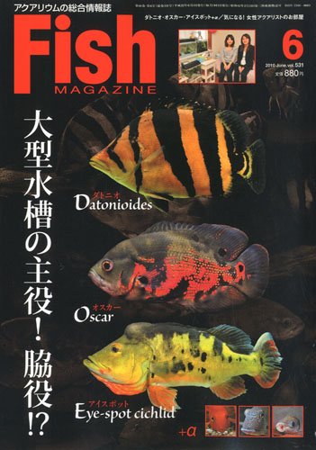 Fish MAGAZINE (フィッシュ マガジン) 2010年 06月号 [雑誌]