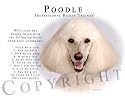 Cream Poodle "Human Trainer" Mouse Pad Dog Mousepad