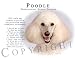 poodle12  - Poodle CREAM Human Trainer Mouse Pad Dog Mousepad