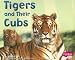 Tigers and Their Cubs (Pebble Plus: Animal Offspring)