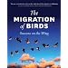 The Migration of Birds: Seasons on the Wing