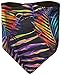 neff Men's Future Facemask