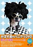 ���ܤ����Υѥ˥���DVD