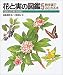 散歩道でみられる木 (花と実の図鑑)