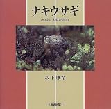 ナキウサギinLakeShikaribetsu ナキウサギinLakeShikaribetsu