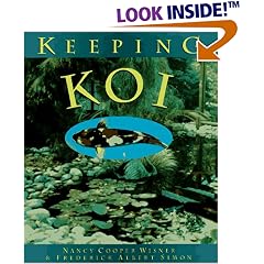 Keeping Koi