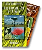 David Attenboroughs Private Life of Plants: A Dazzling Kaleidoscope of the Essence of Life on Earth (Six VHS Tape Set)