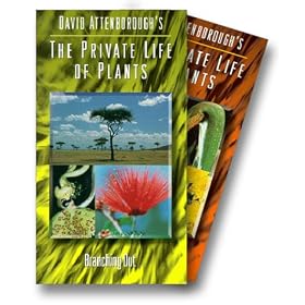 David Attenborough's Private Life of Plants: A Dazzling Kaleidoscope of the Essence of Life on Earth (Six VHS Tape Set) [VHS]