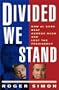 Divided We Stand: How Al Gore Beat George Bush and Lost the Presidency