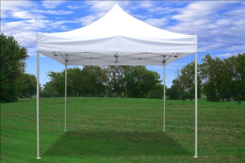 10x10 Pop up 4 Wall Canopy Party Tent Gazebo Ez White F