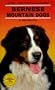 Bernese Mountain Dog