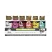 FolkArt 12 Color Paint Set (2-Ounce), 5070E Festival, 2 oz