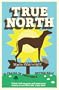 True North: In praise of England's better half