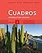 Student Activities Manual, Volume 2 for Cuadros Student Text: Introductory & Intermediate Spanish