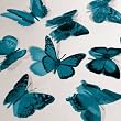 Butterfly 3D Translucent Decoration 12 TEAL Butterflies