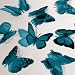 Butterfly 3D Translucent Decoration 12 TEAL Butterflies